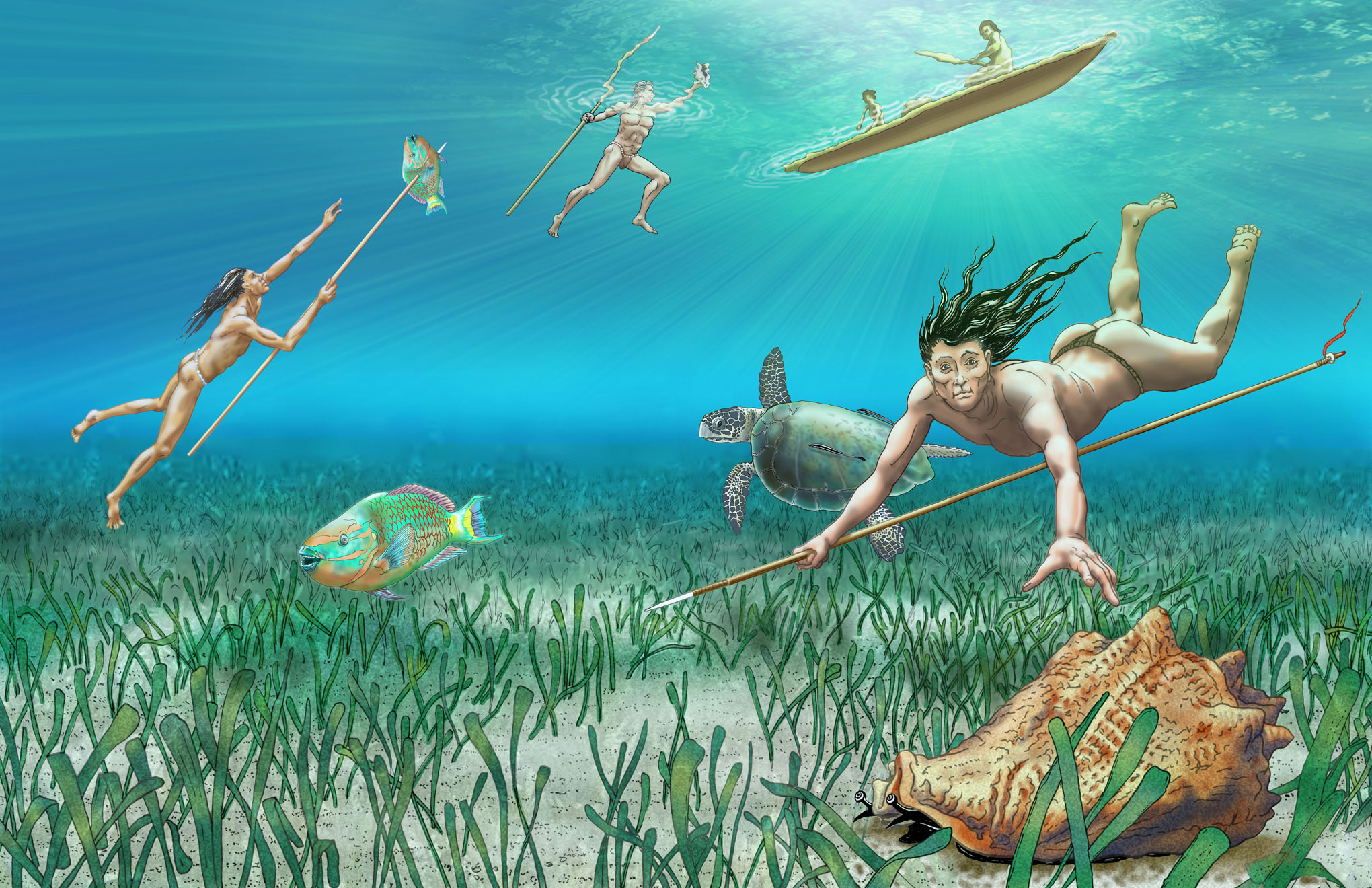 divers swimming