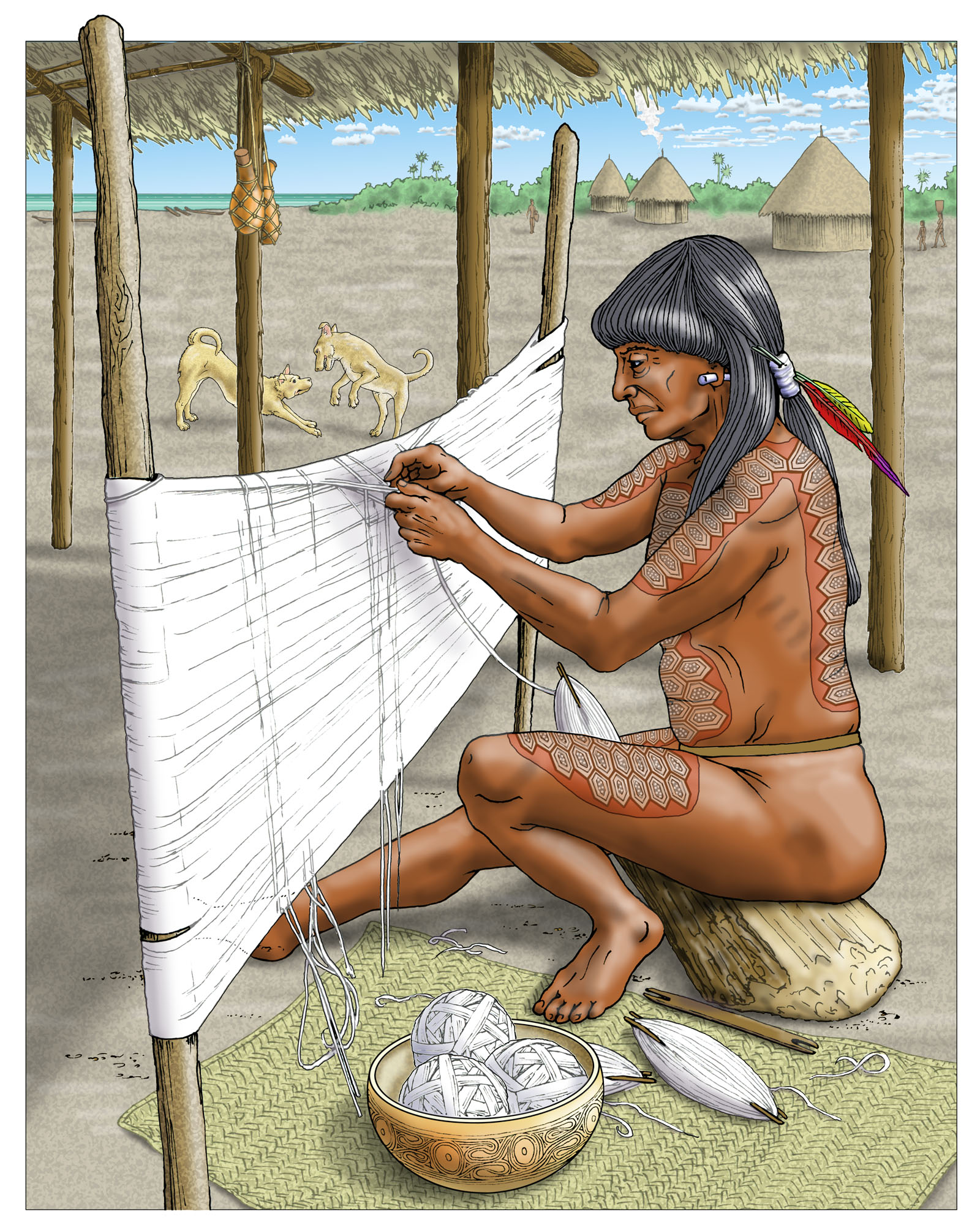 SIBA weaver