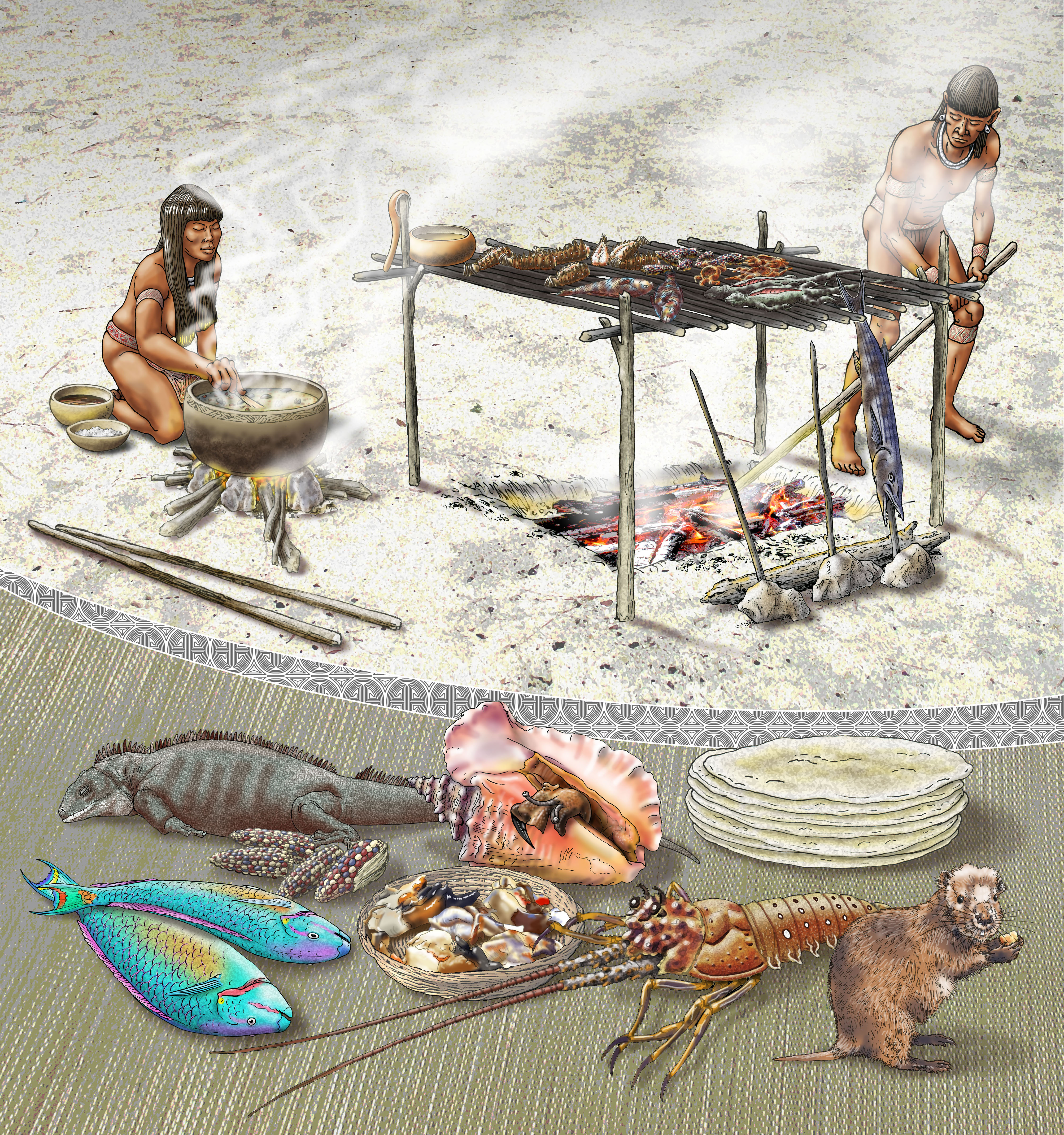 Siba islands harvest