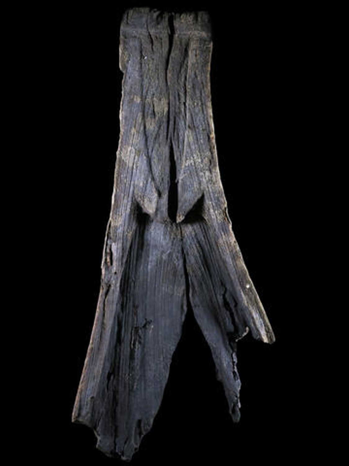 remains of a wooden canoe