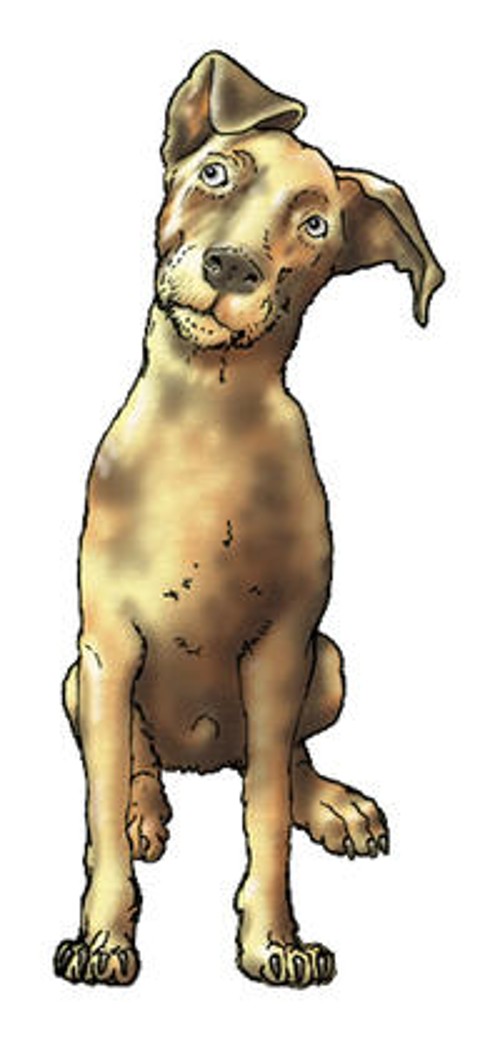 a dog