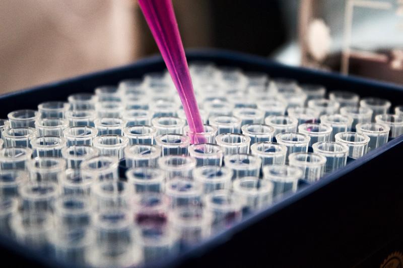 Pipette inserting pink into test tubes