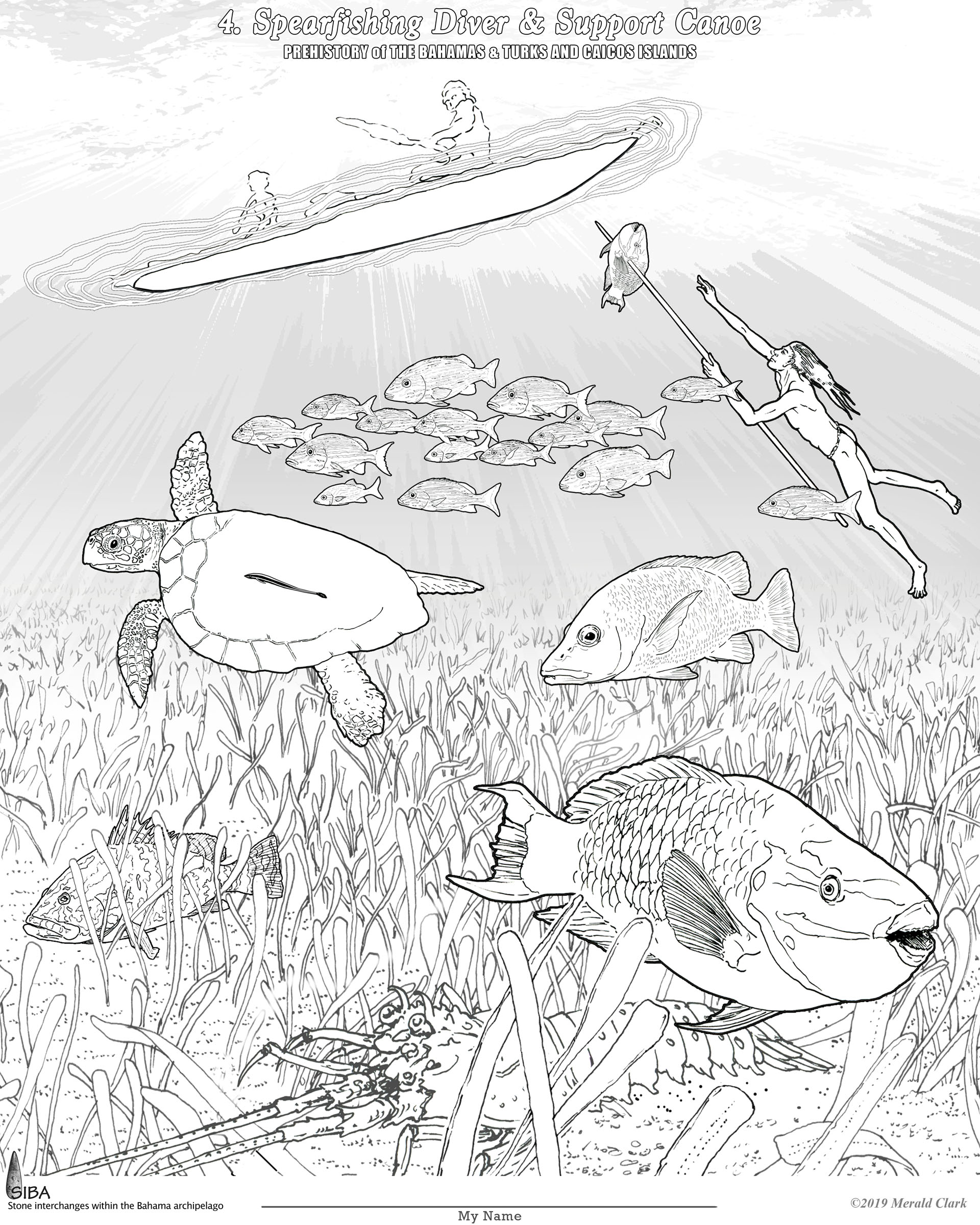 divers swimming