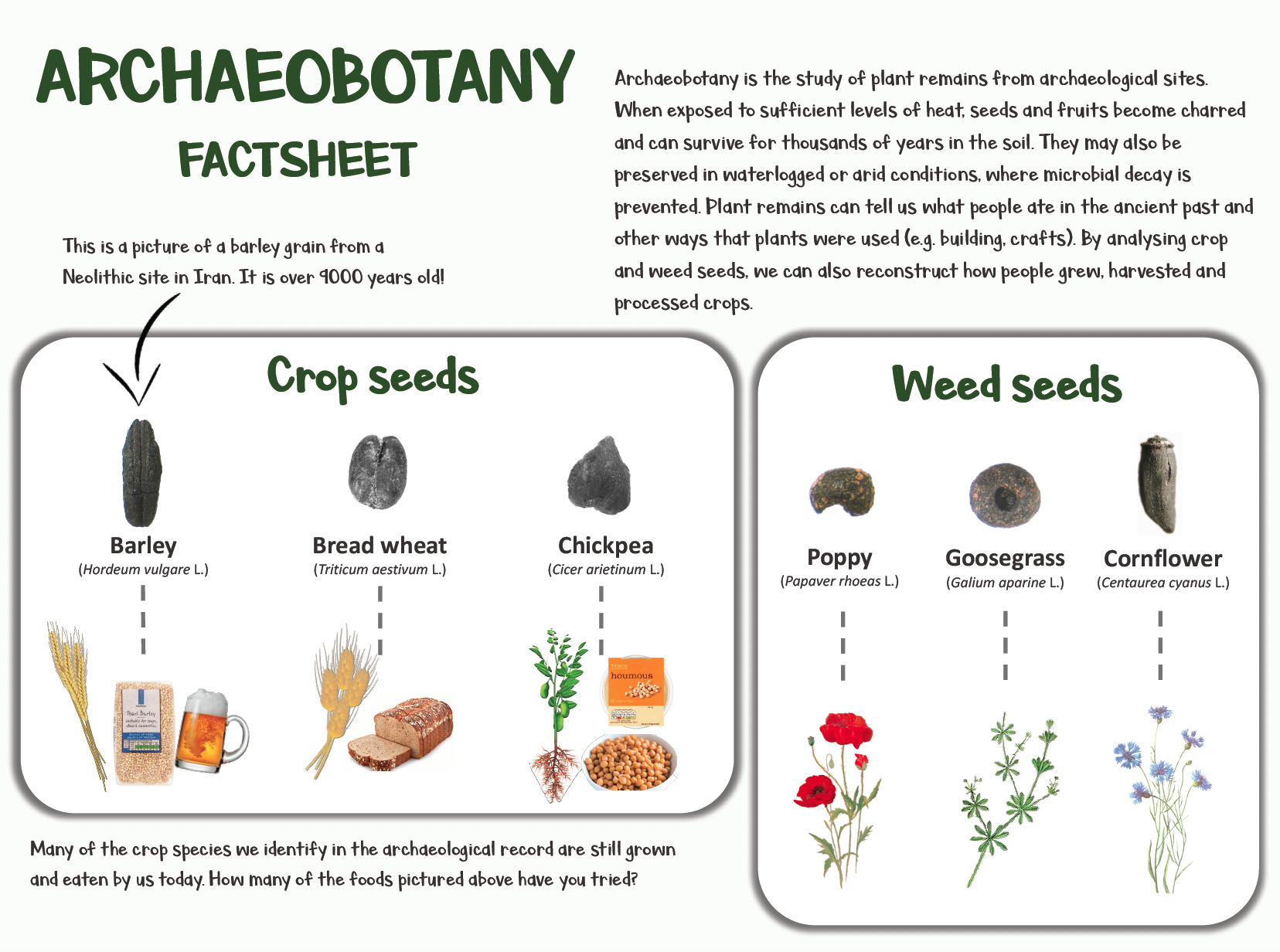 cc handout