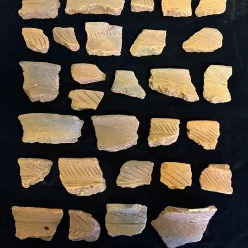 Pottery sherds and archived material stored at the University of the Witwatersrand 