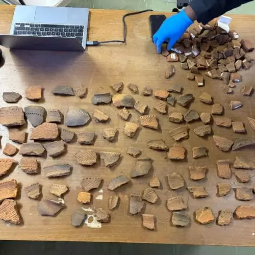 Pottery sherds and archived material stored at the University of the Witwatersrand 