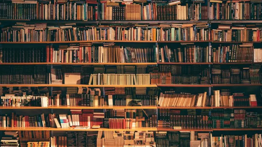 alfons morales ylswjsy7stw unsplash
