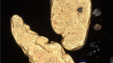 Microscopic image of gold 