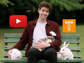 Joel sits on a park bench and a rabbit sits on his lap and several perch on the bench and grass around him.