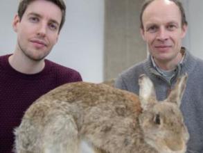 Photo of Joel and Darwins rabbit