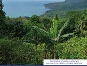 Africa islands book