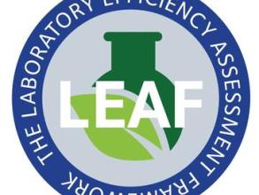 leaf logo