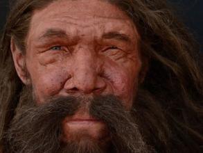 neanderthal