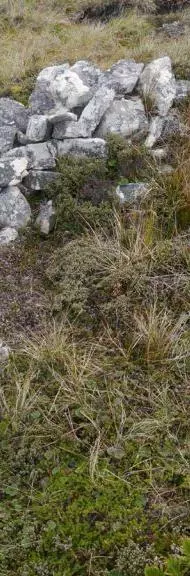 falklands mapping project