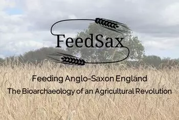 fieldsax