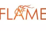 flame logo